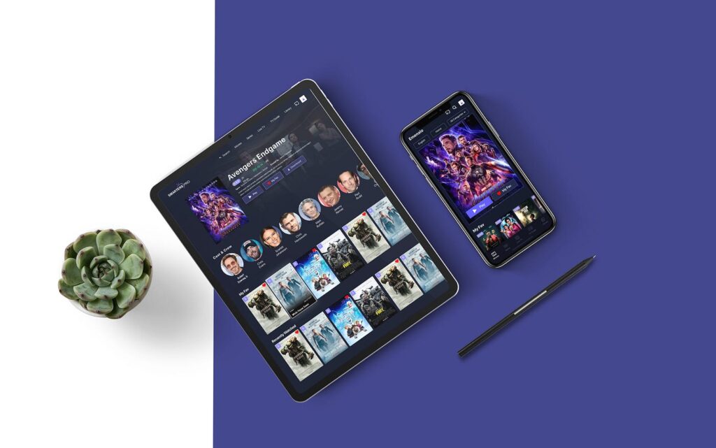 IPTV Smarter pro for business